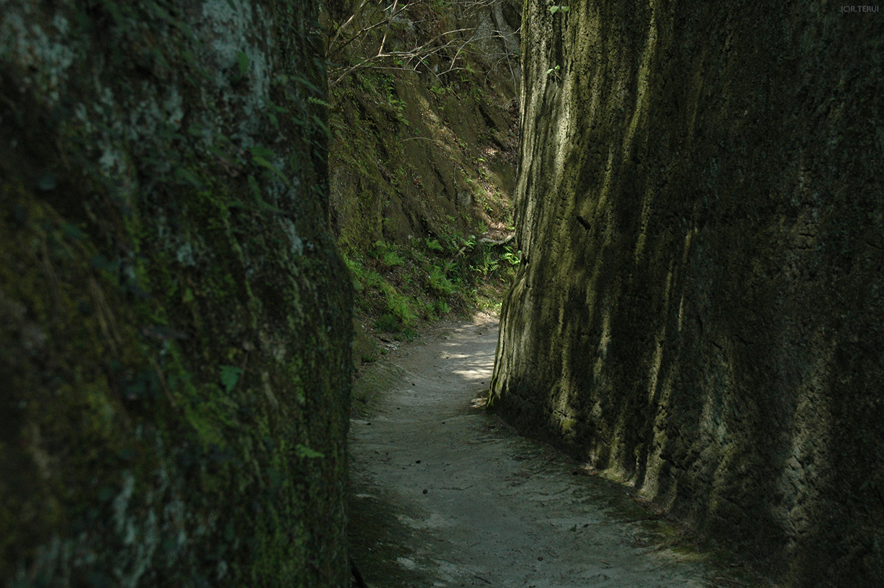 松島海岸　写真3　雄島への道