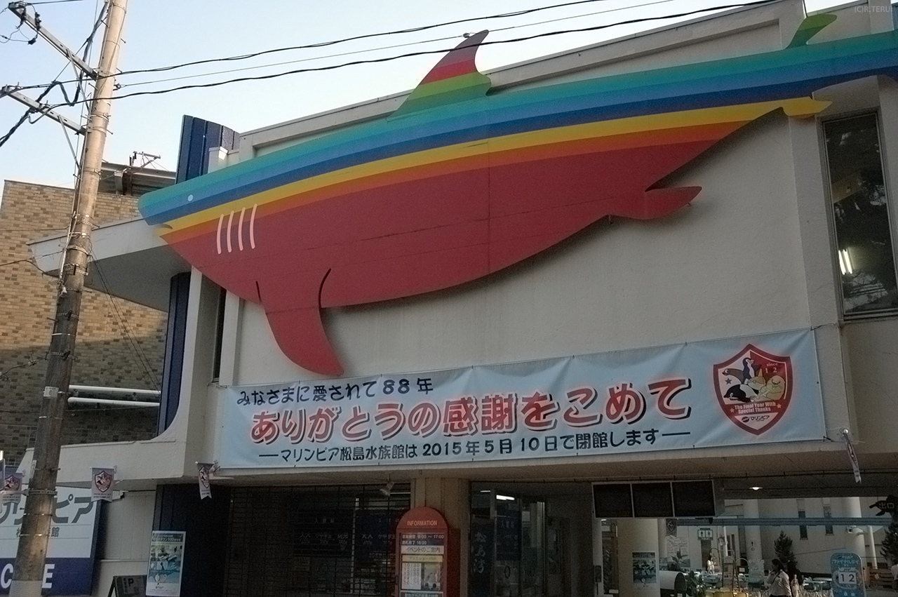 松島海岸　写真10　マリンピア松島水族館