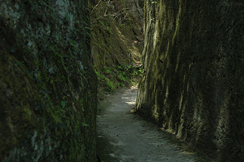 雄島への道