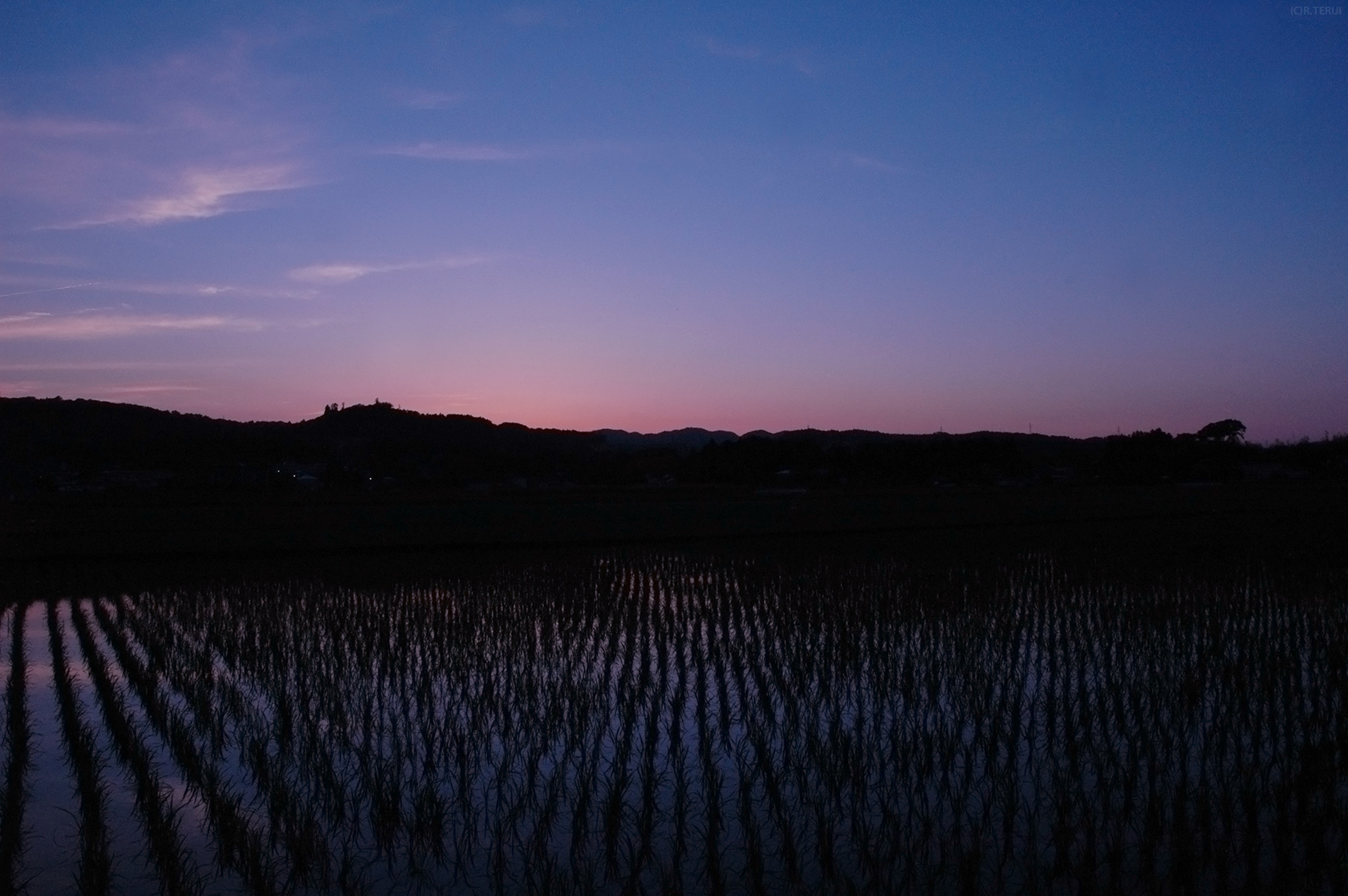 岩沼　写真1　夕暮れの田