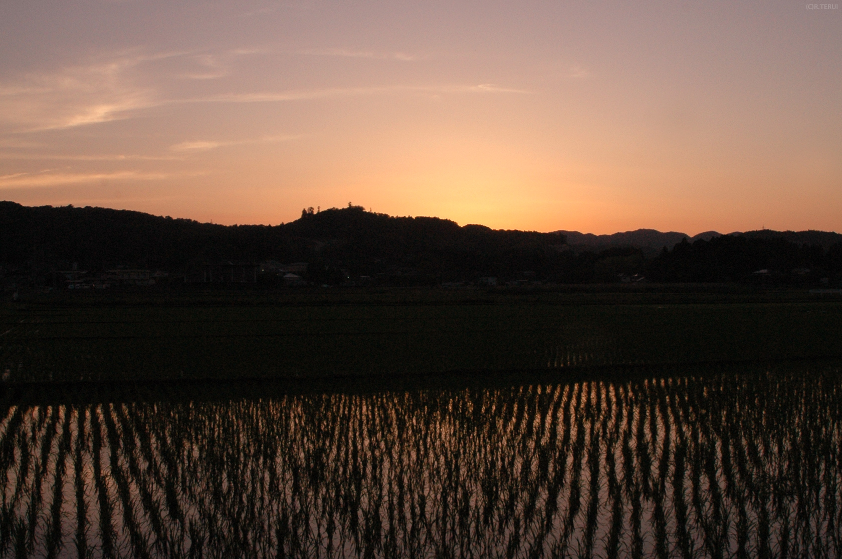 岩沼　写真7　夕暮れの田