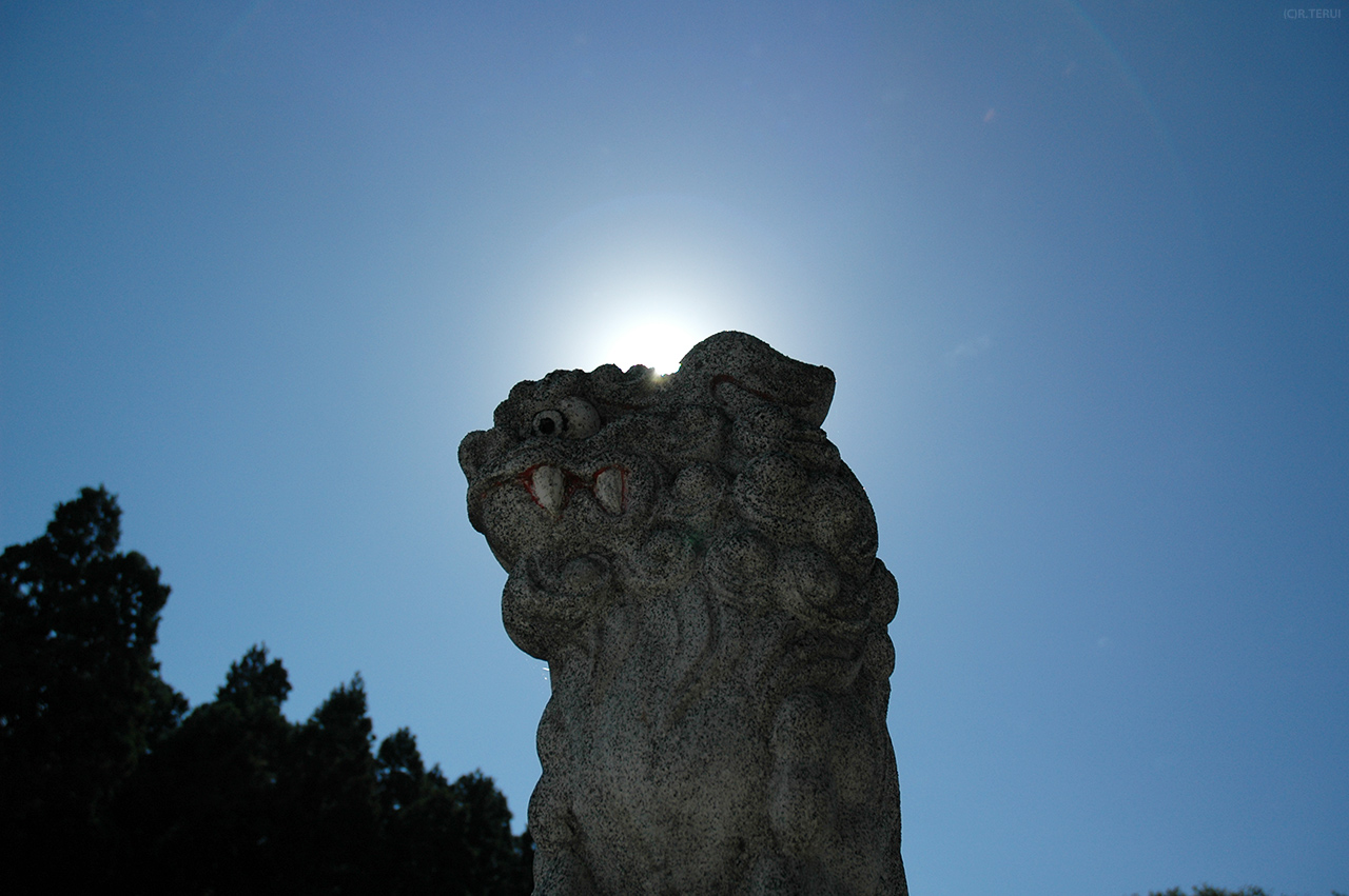 岩沼　写真9　金蛇水神社の狛犬