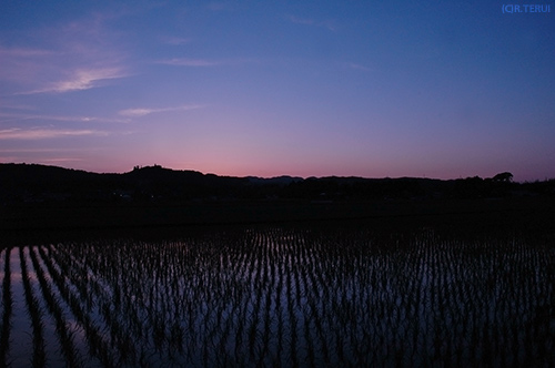 岩沼　写真1