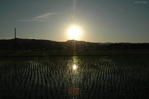 岩沼　写真2