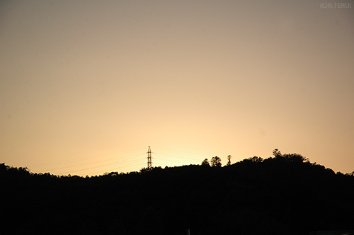 岩沼　写真6