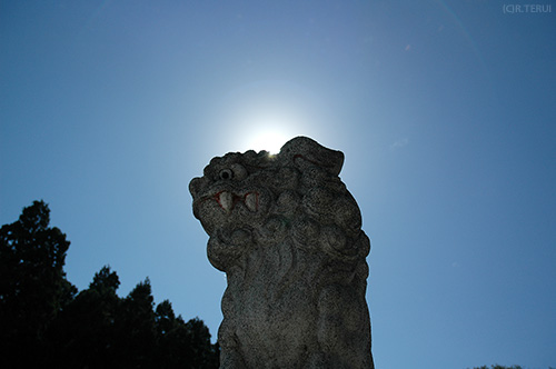 金蛇水神社　狛犬
