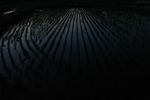 岩沼　写真12