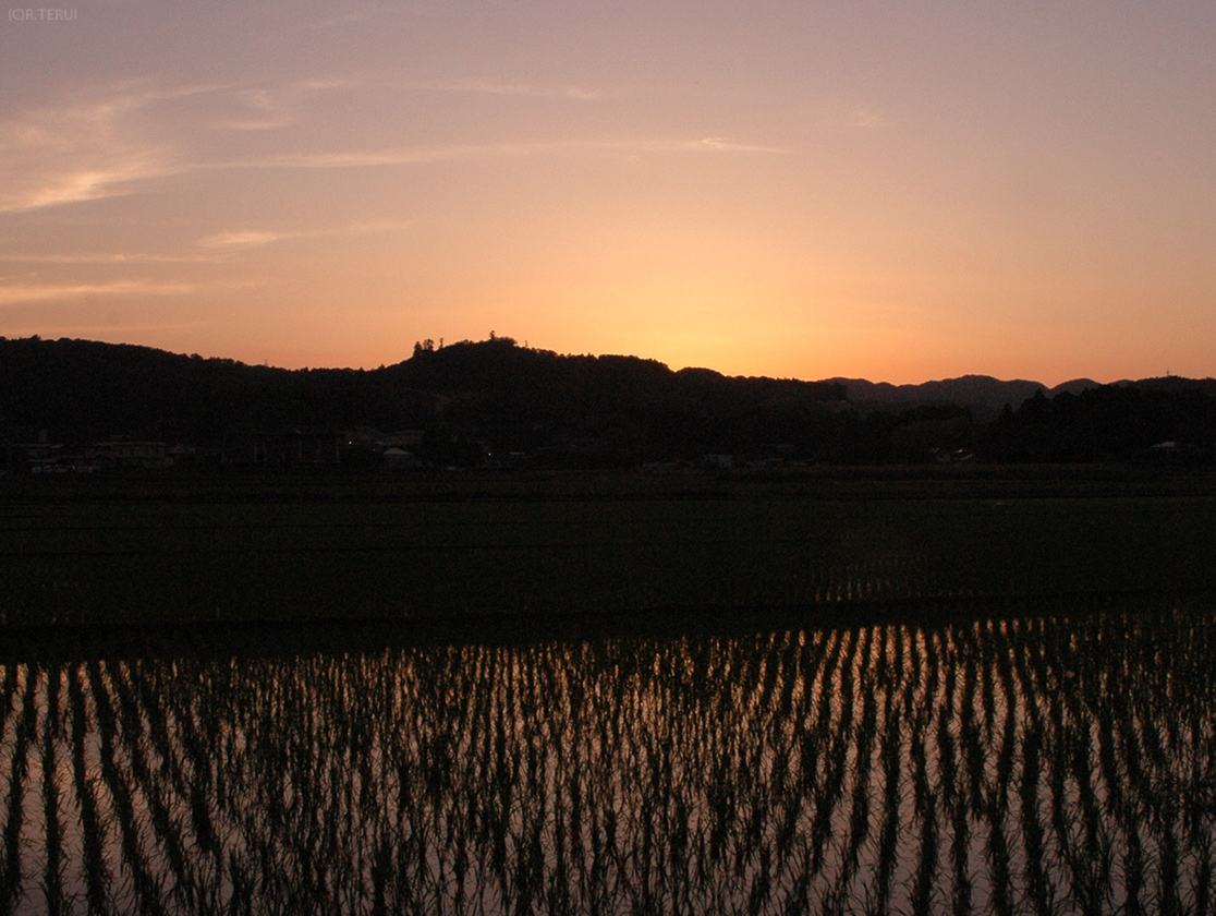 夕暮れの田　日没直後