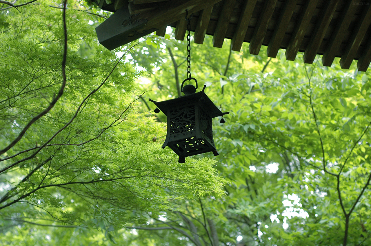 資福寺　写真12　軒先　緑の背景