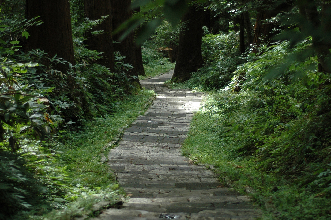 羽黒山　写真6　石畳の参道