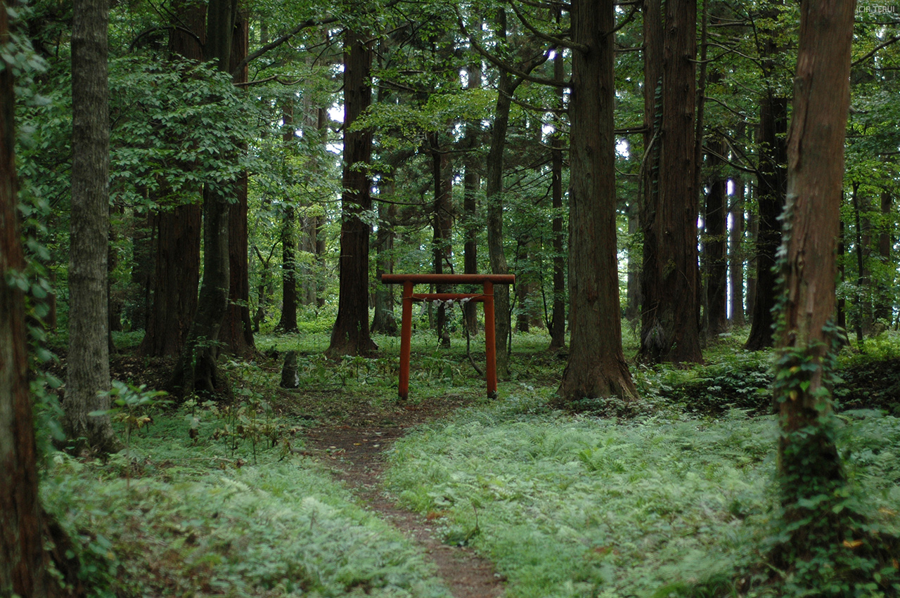 羽黒山　写真11　御本坊平　鳥居