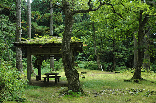 羽黒山　写真8