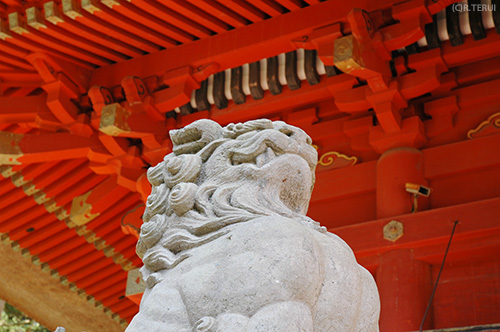 出羽三山神社の狛犬