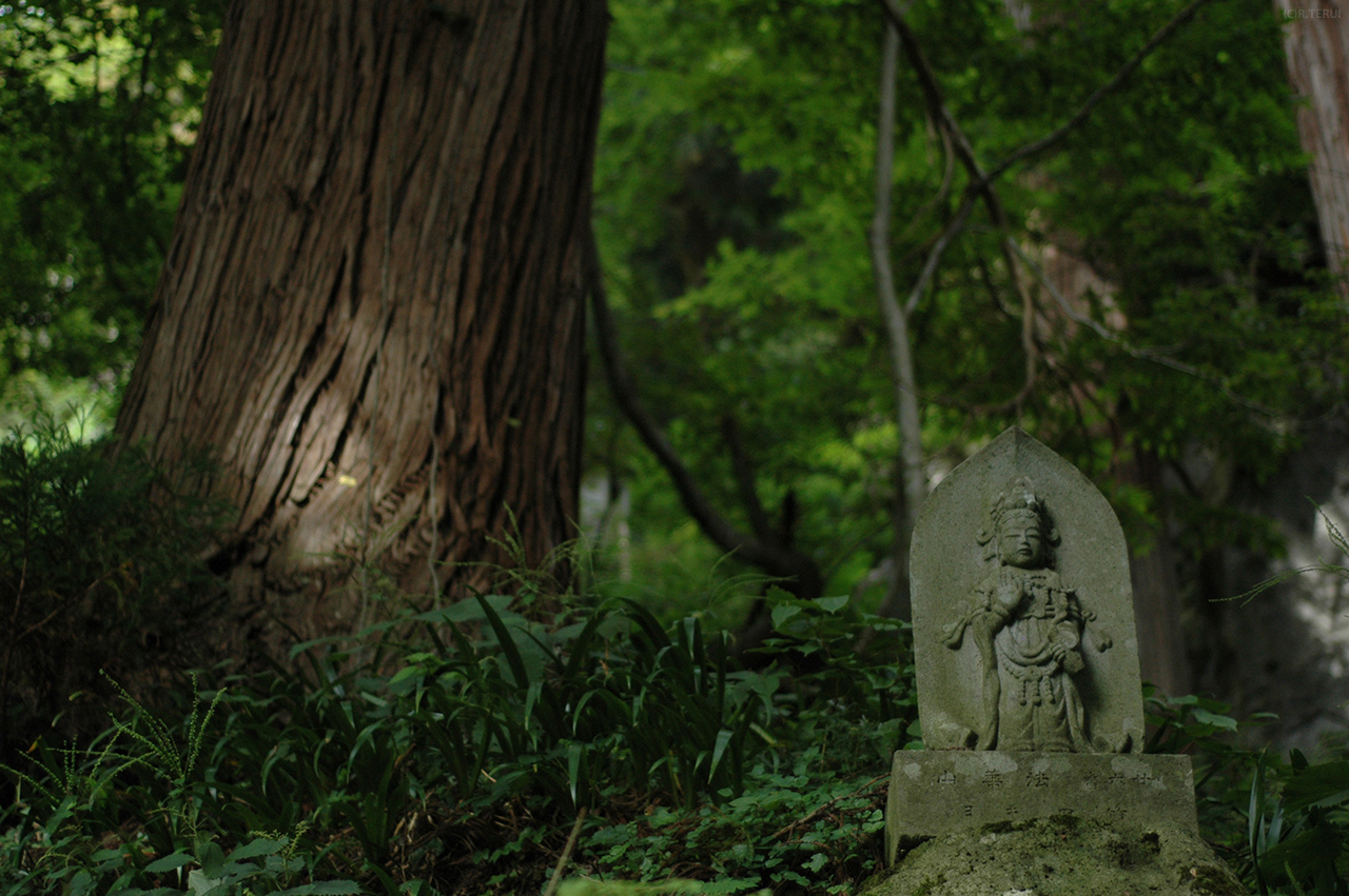 山寺　写真1　緑と仏像