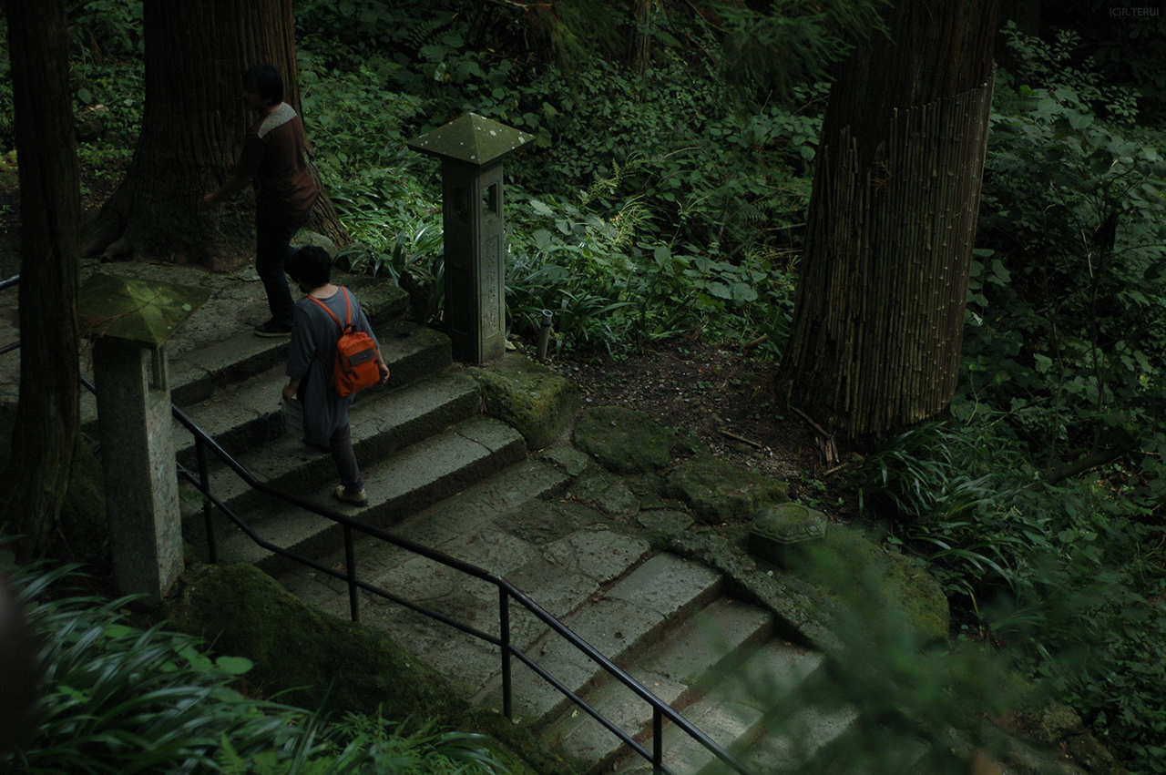 山寺　写真2　石段