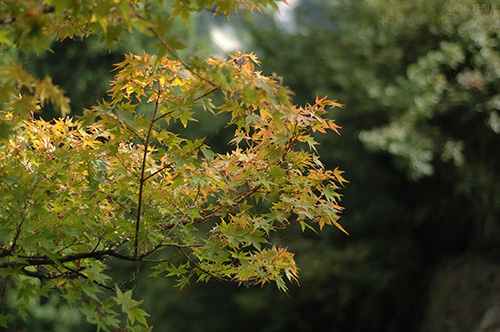 山寺　写真11