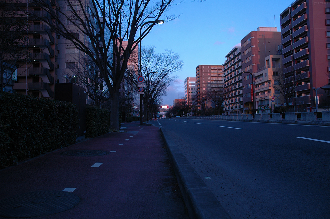 宮城野　写真6　宮城野通り