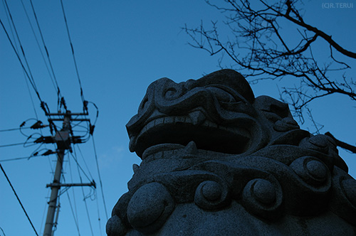 榴岡天満宮の狛犬