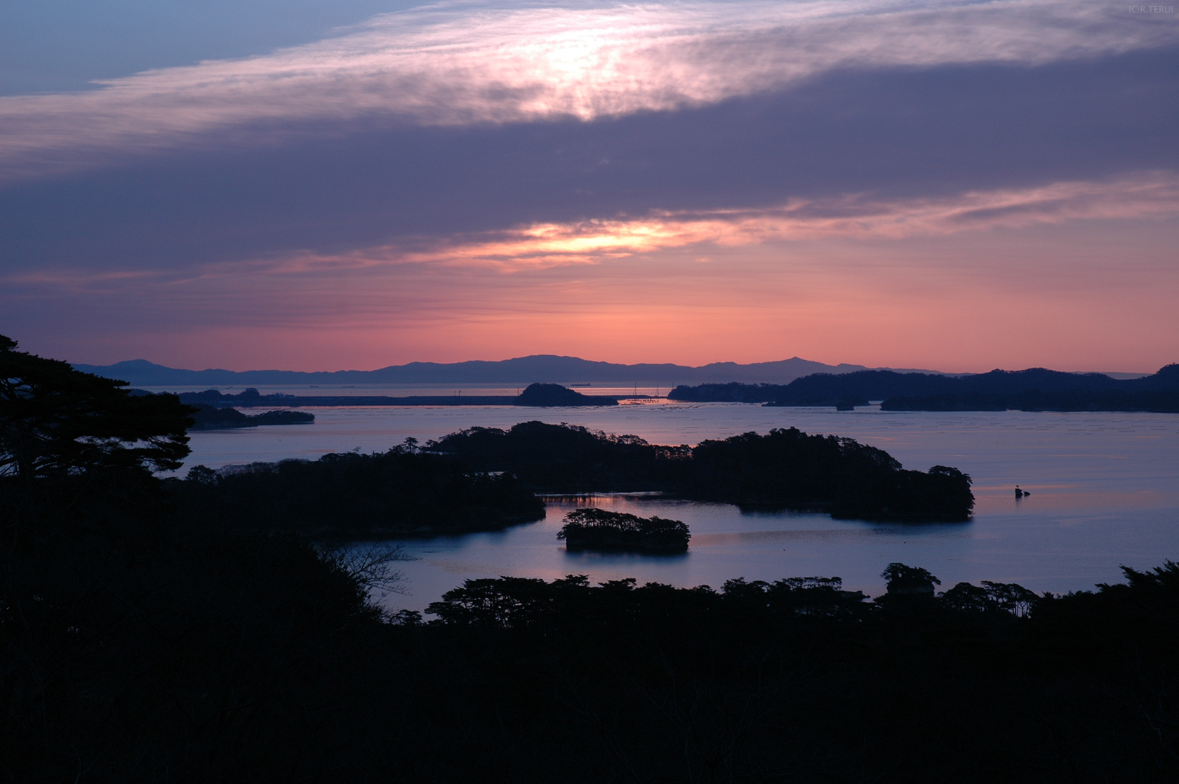 松島海岸　写真3　朝　西行戻しの松公園