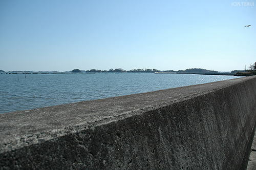 西ノ浜　堤防と海