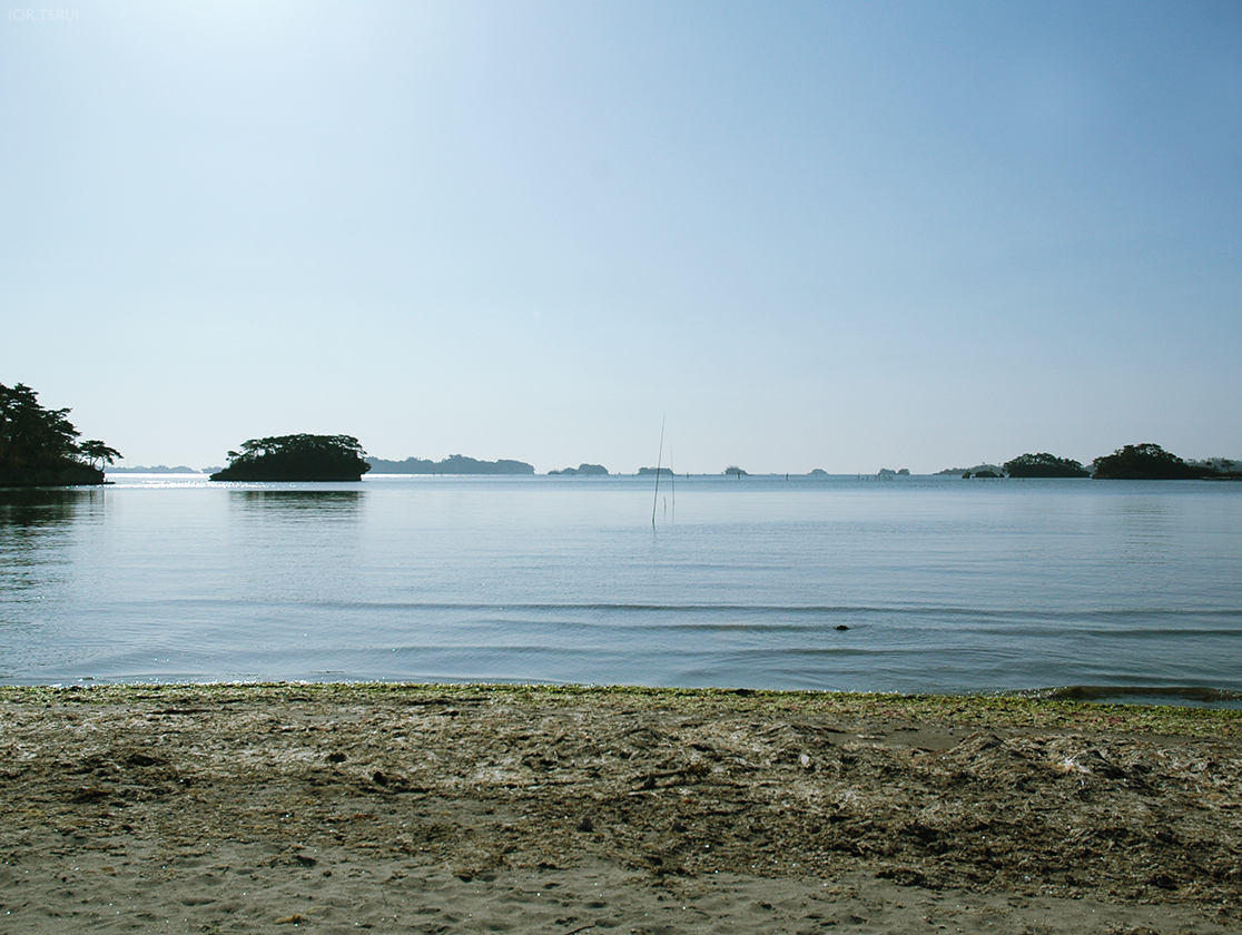 朝の扇浜