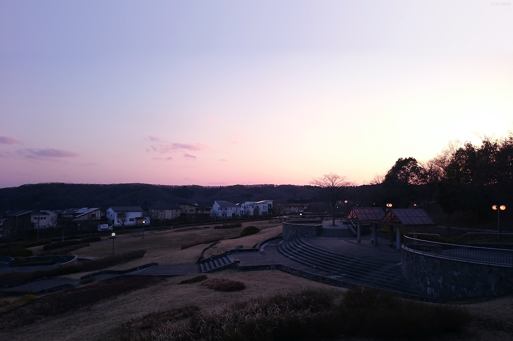 紫山　写真3　紫山公園全景