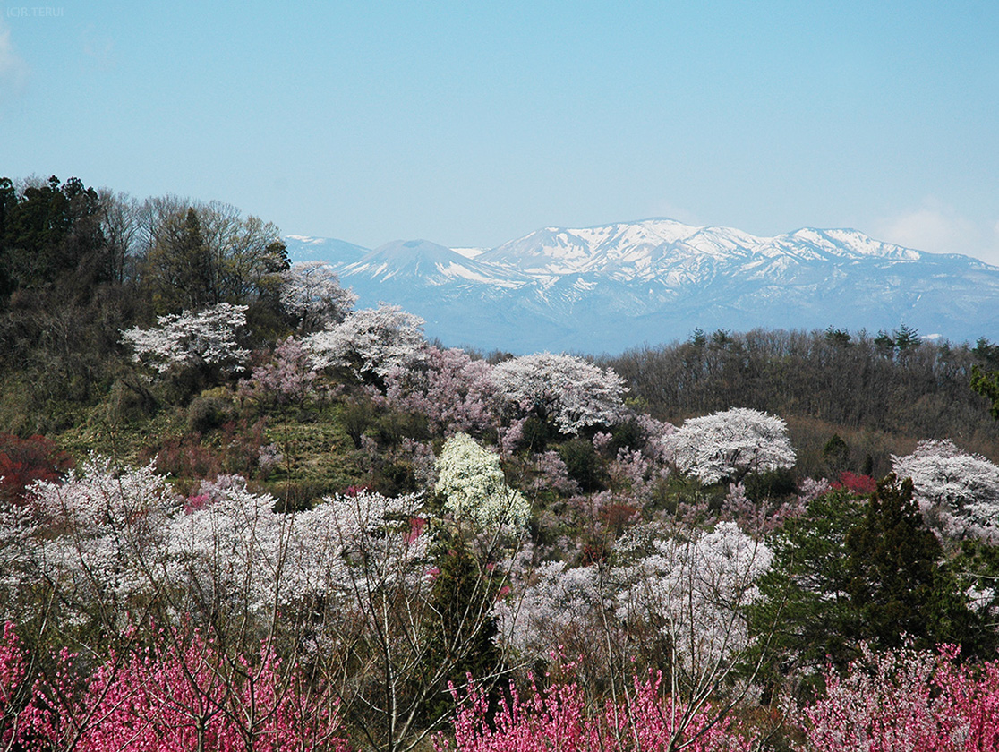 吾妻連峰を望む