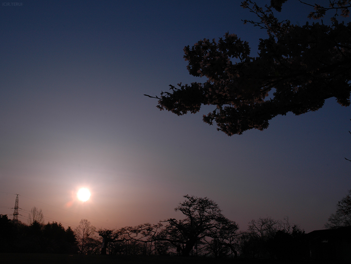 日の出　太陽