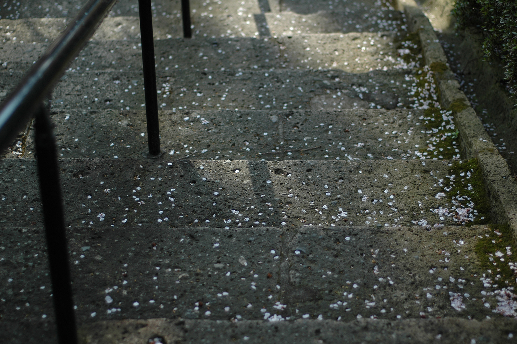 瀧澤寺　写真6　参道の石段