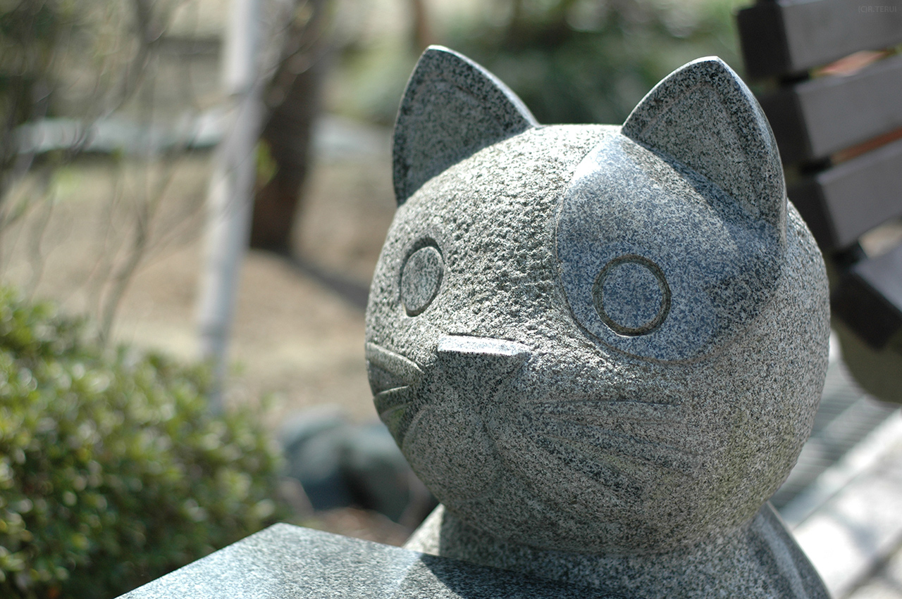 瀧澤寺　写真12　猫(？)