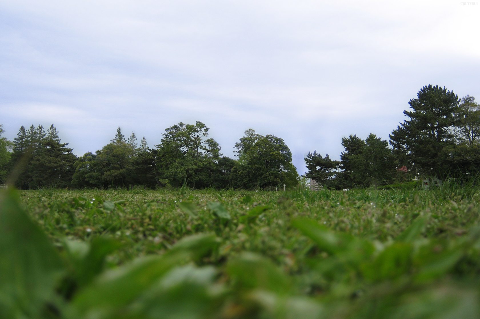 榴岡公園　写真12　広場