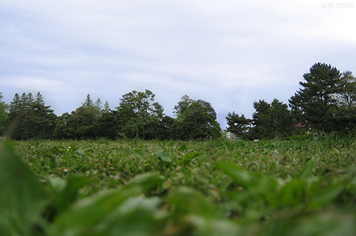 榴岡公園　写真12