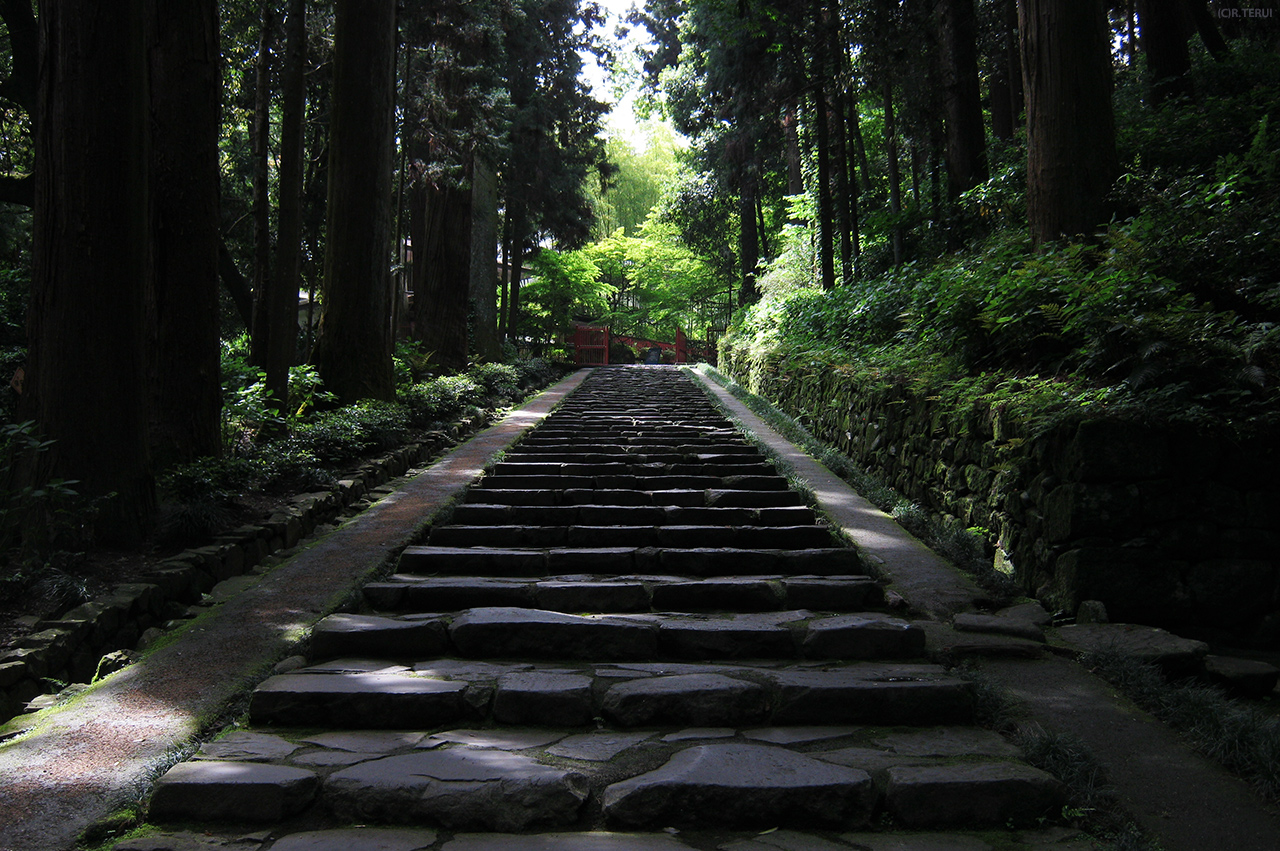 瑞鳳殿　写真8　参道　石段