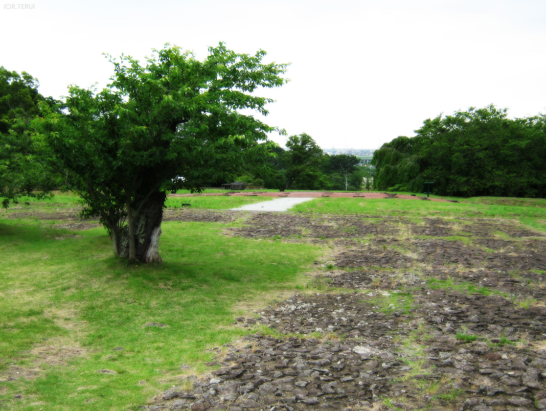 多賀城跡　政庁跡