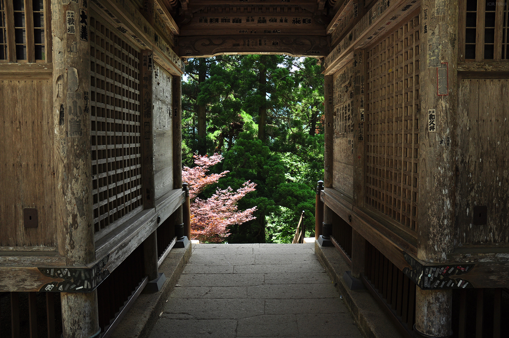 山寺　写真5　仁王門