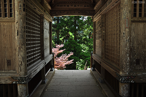 山寺　写真5