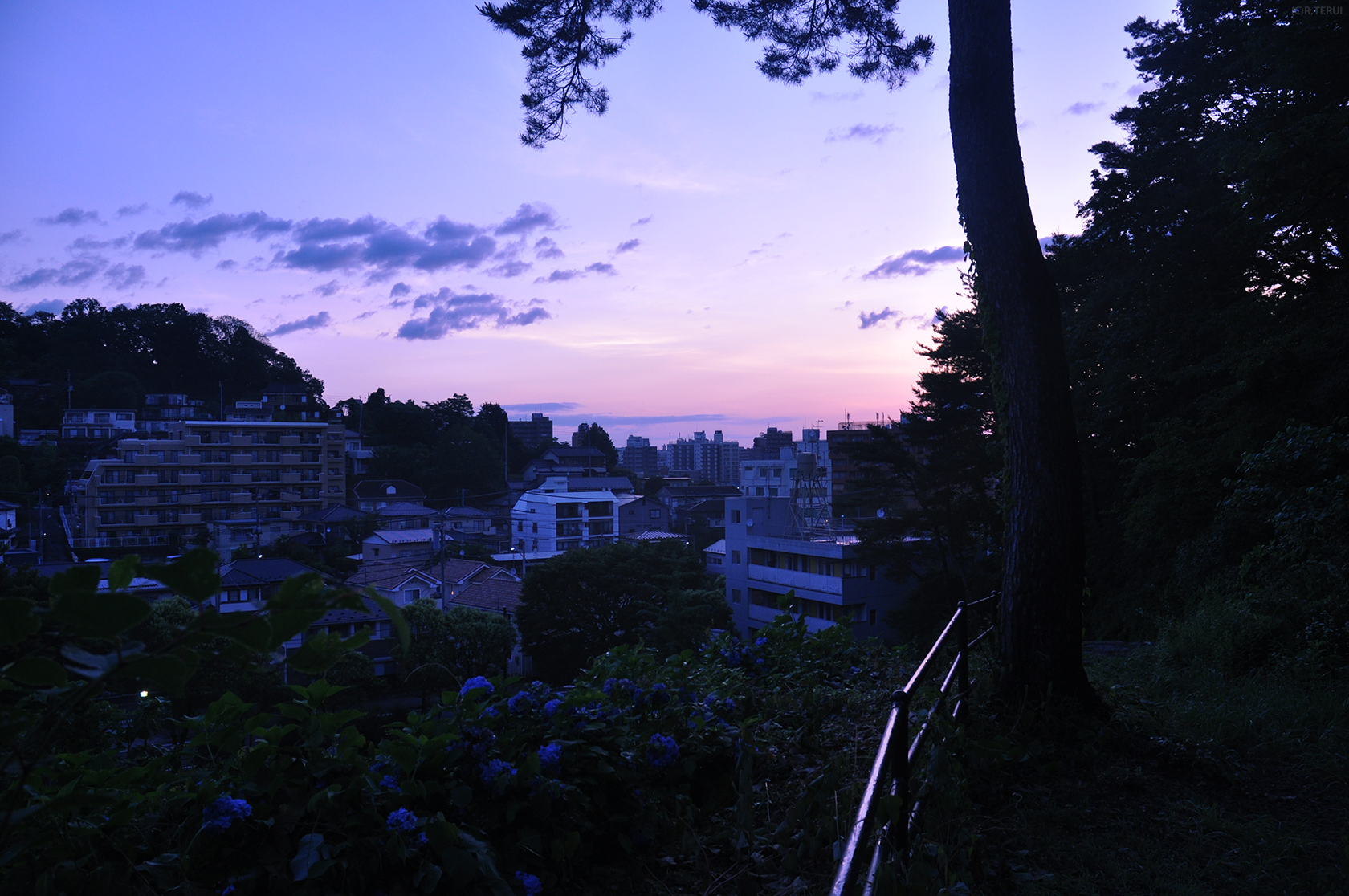 向山公園　写真10　高台から　日の出前