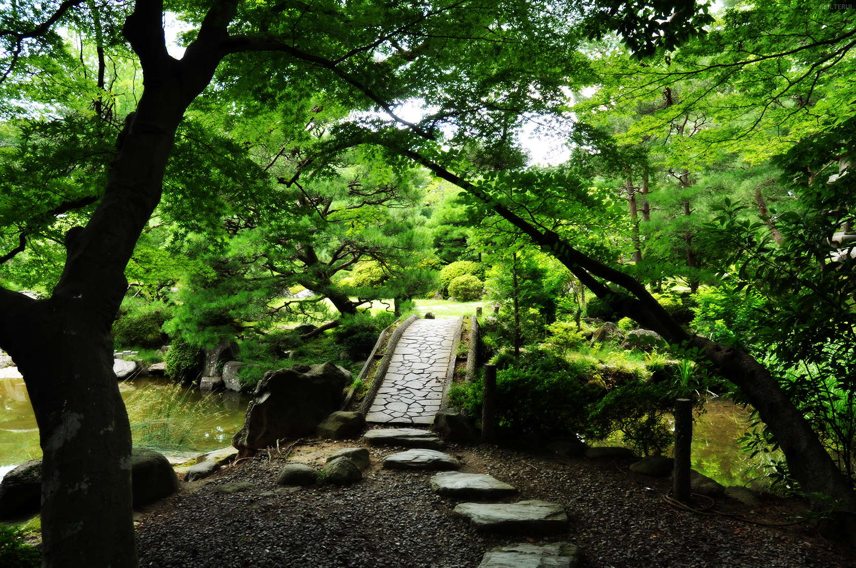 輪王寺　写真5　庭園　緑