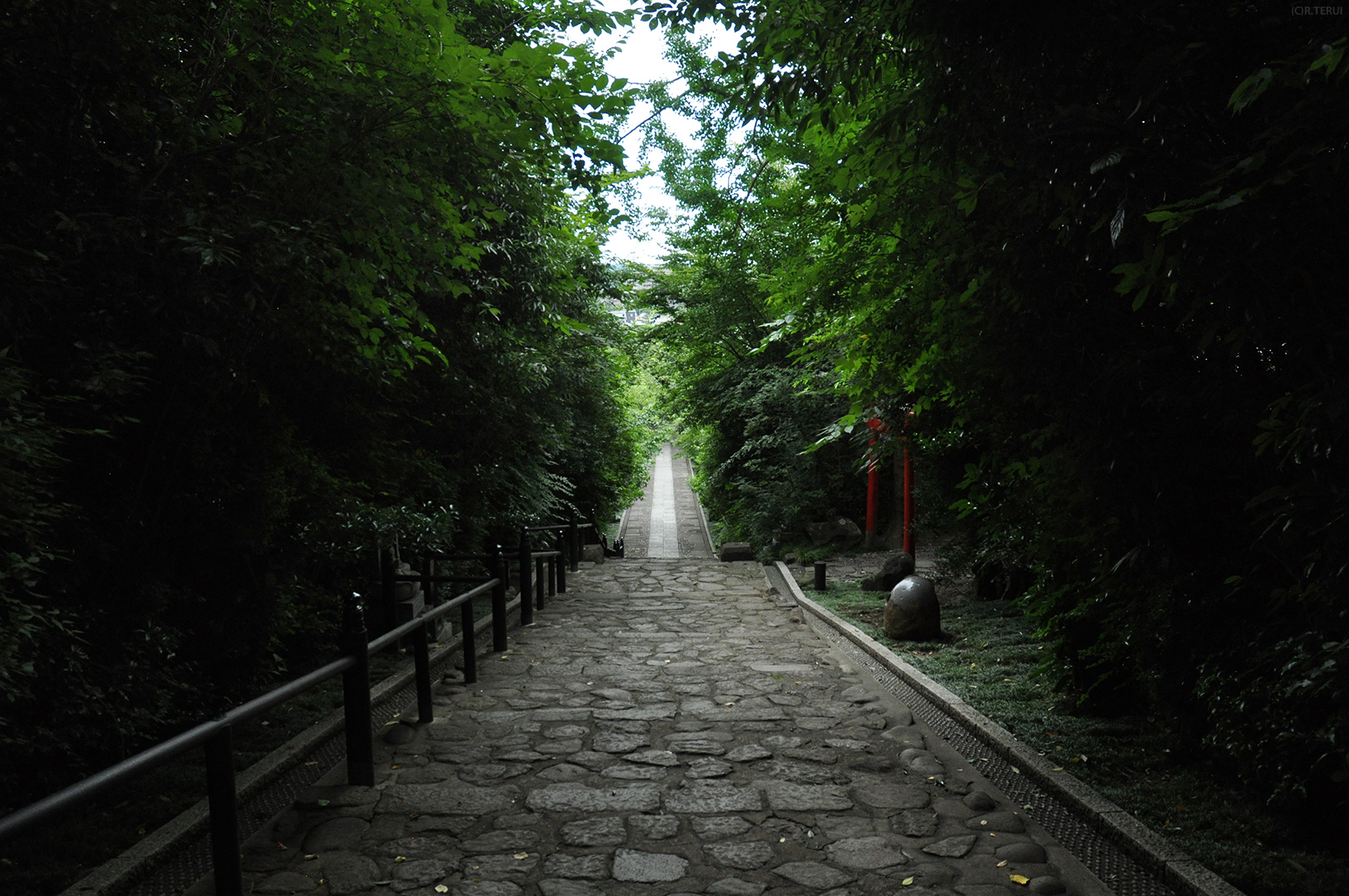 輪王寺　写真11　参道