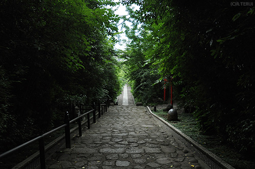 輪王寺　写真11