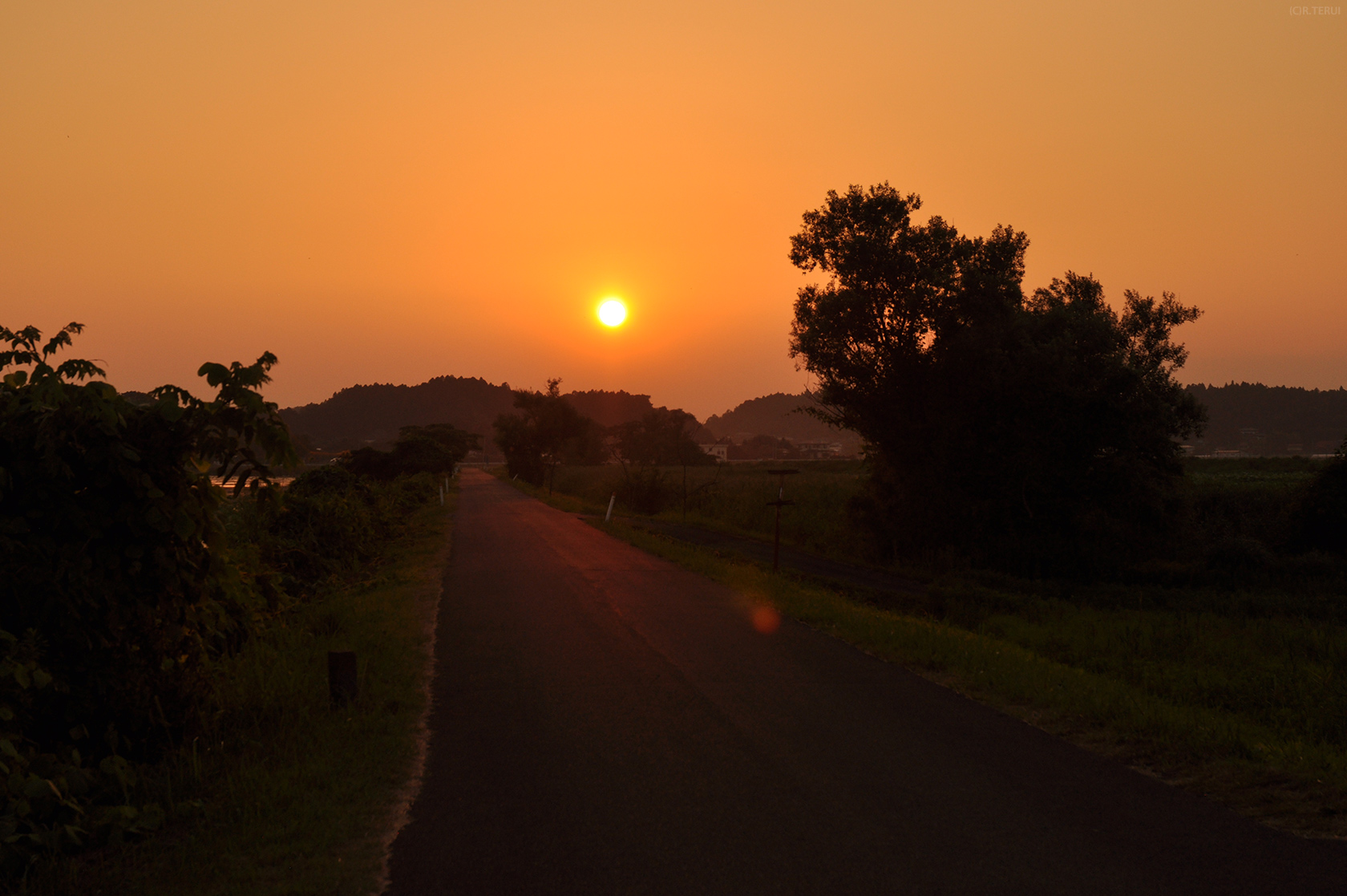 伊豆沼　写真12　夕陽