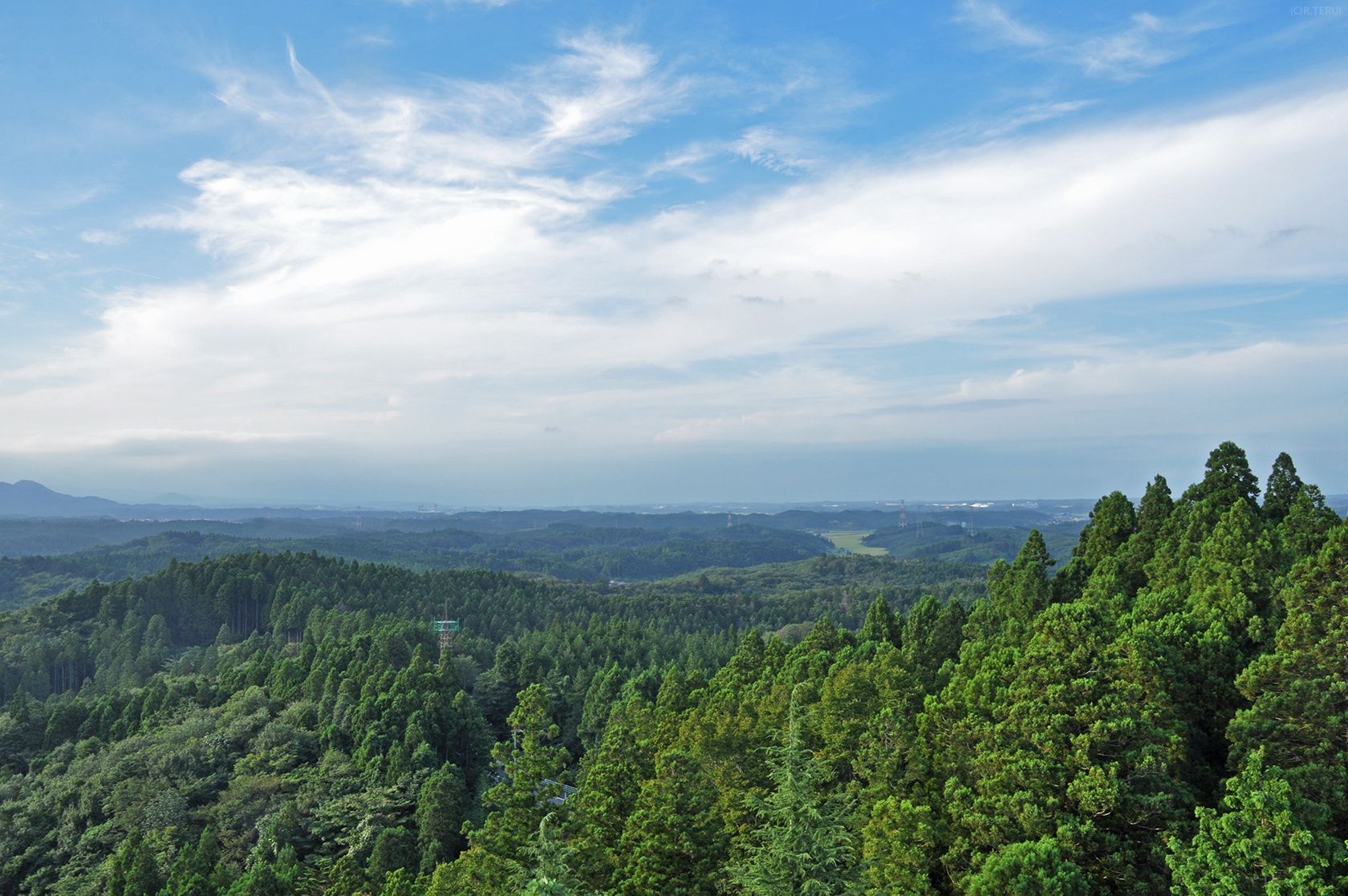 大亀山　写真11　北　大崎市　大衡村