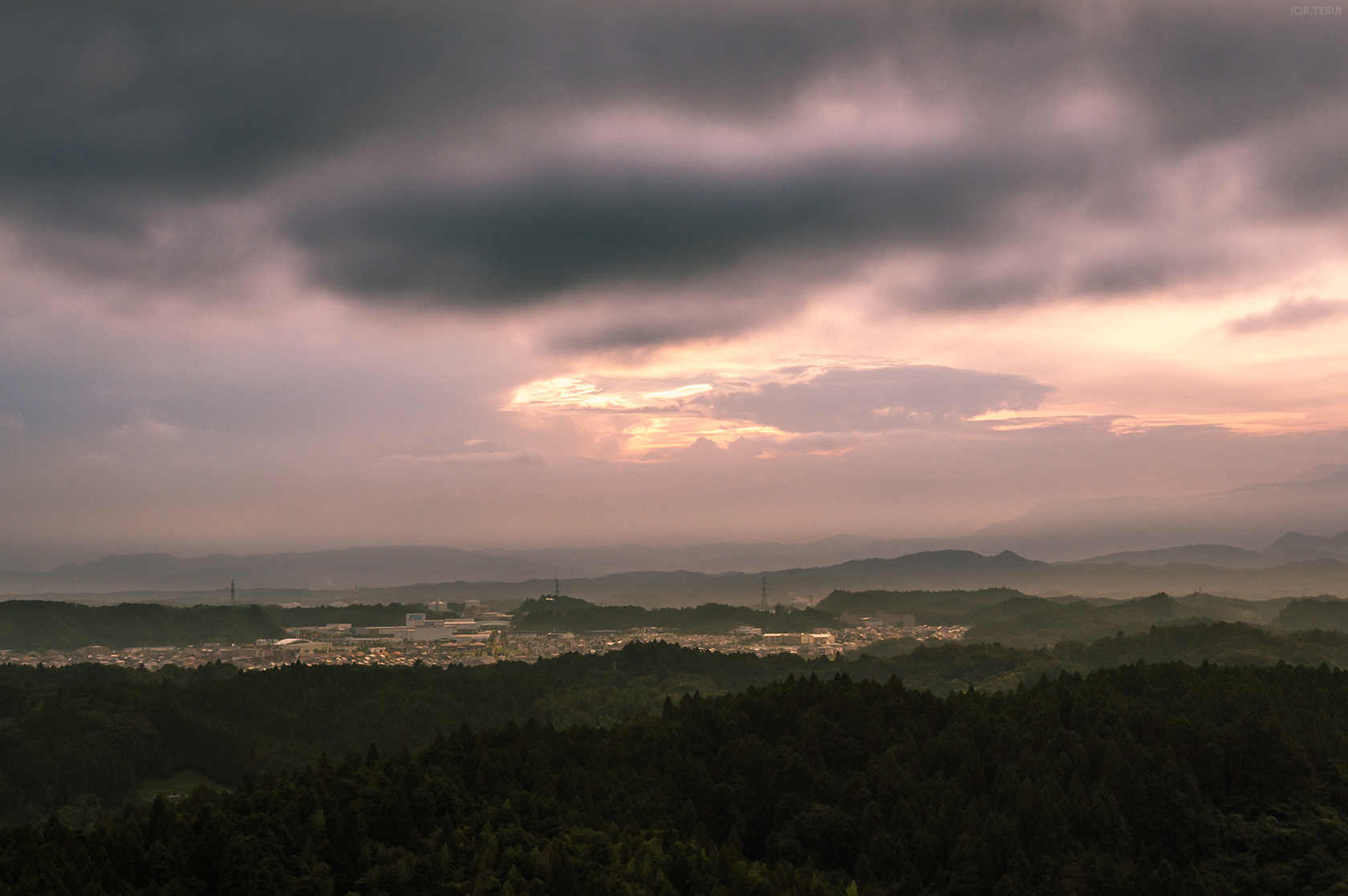 大亀山　写真12　西　成田団地