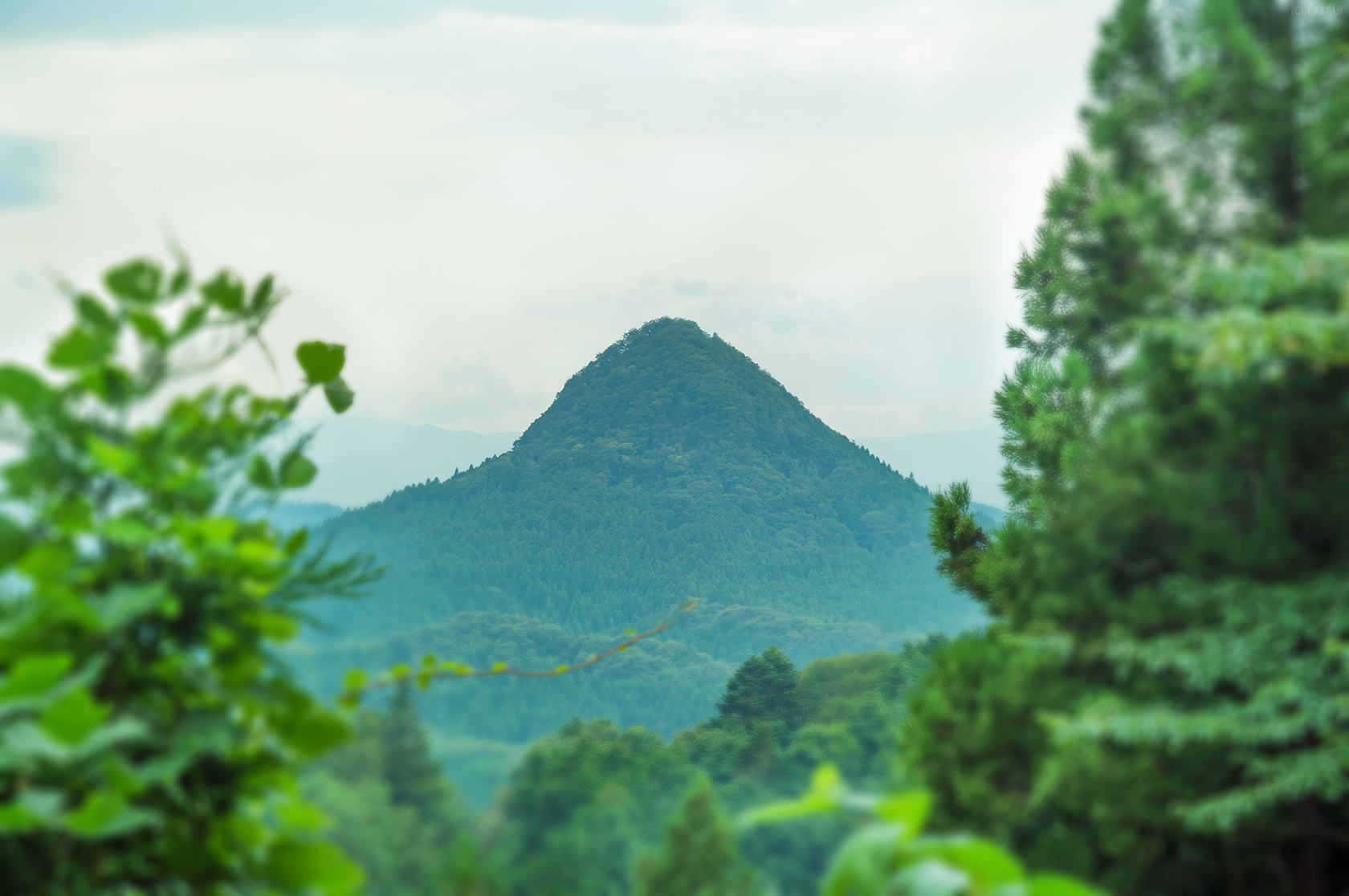 治山の森　写真4　太白山