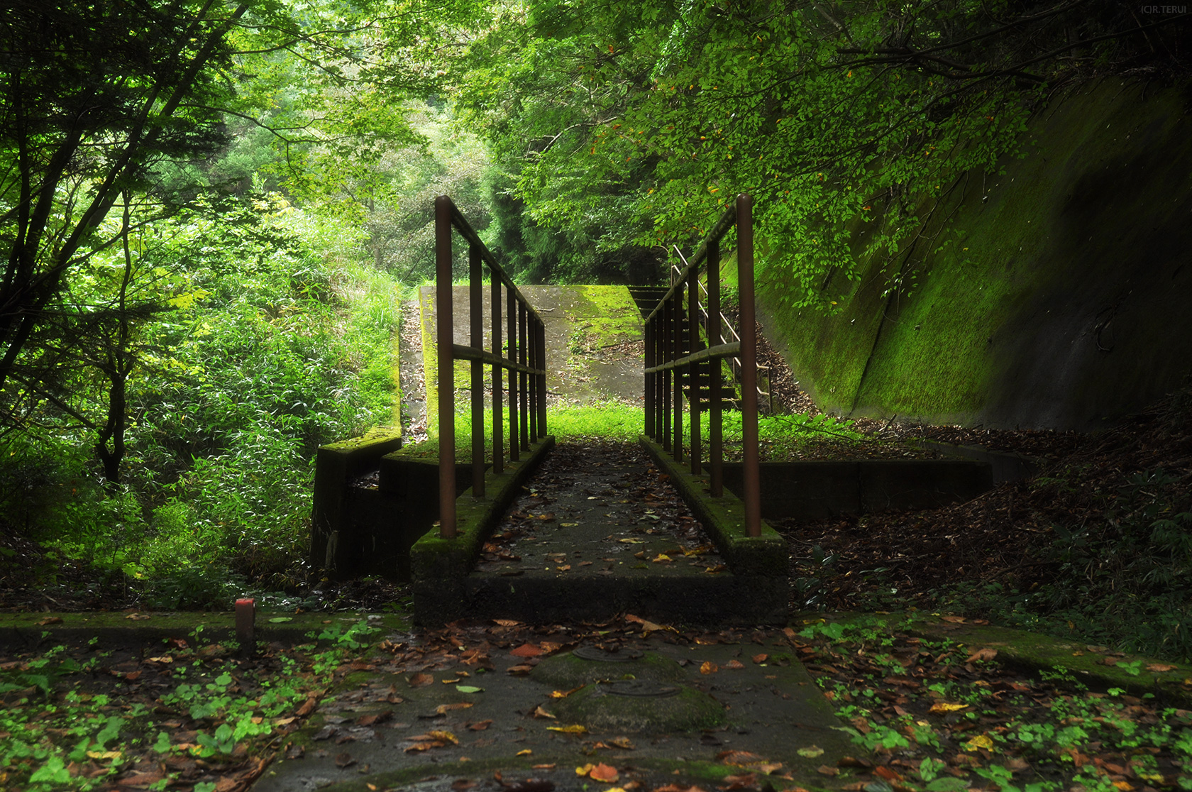 治山の森　写真5　送水管点検路 橋