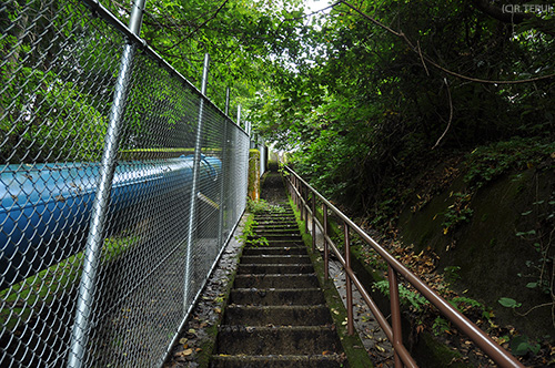 送水管点検路の階段