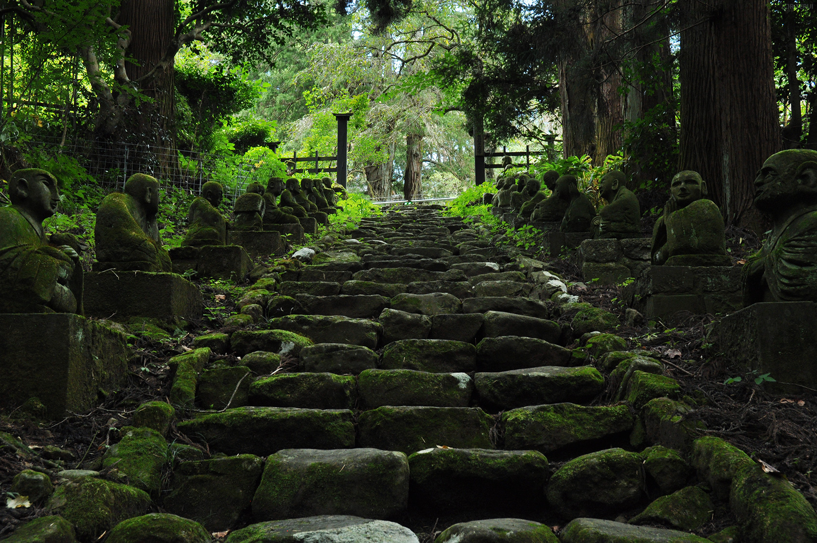 蕃山丘陵　写真2　大梅寺　羅漢像