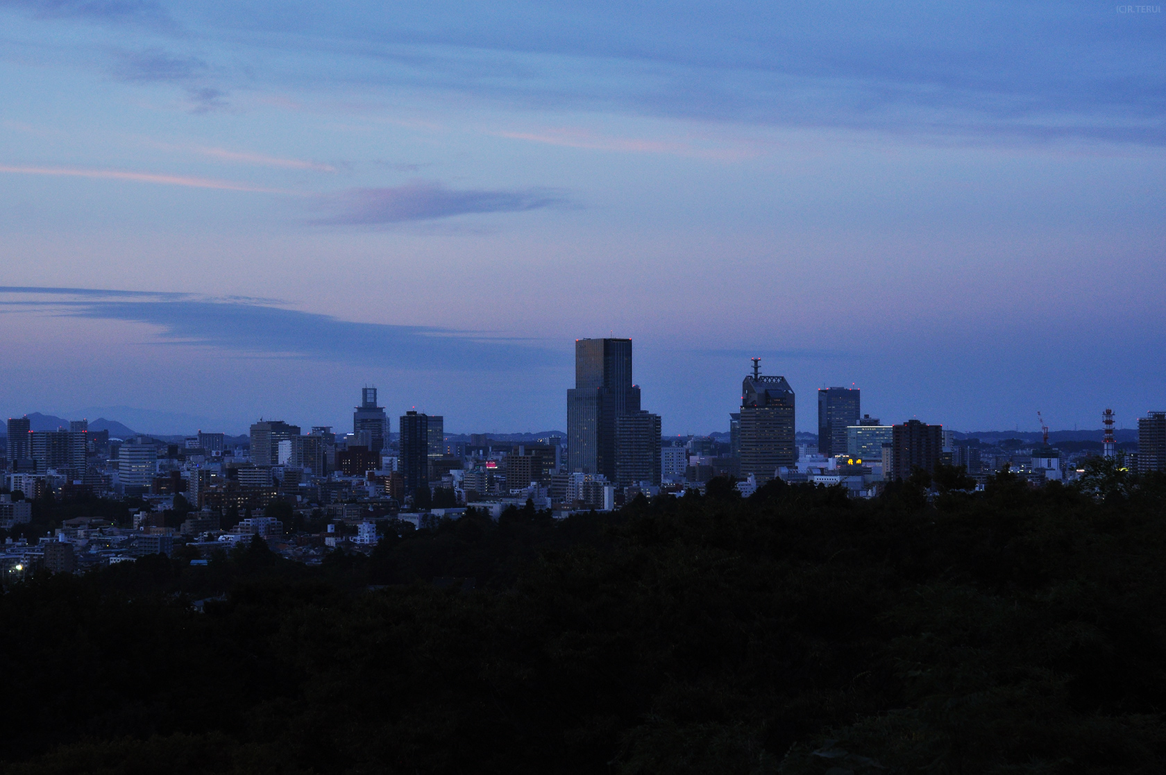 大年寺山　写真12　仙台市中心部