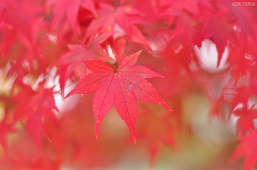 七北田公園　写真3