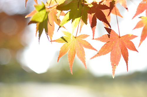 七北田公園　写真5